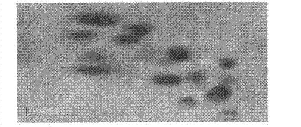 Superposition type fixed bed phase-conversion focusing chromatographic column and separation method