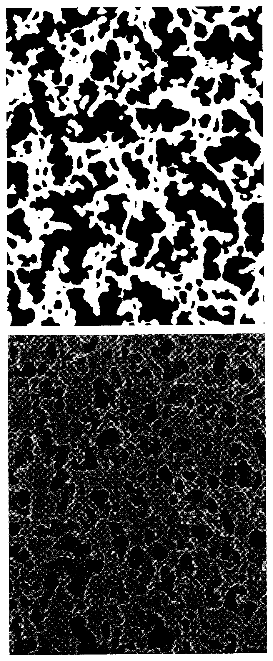 Porous membrane