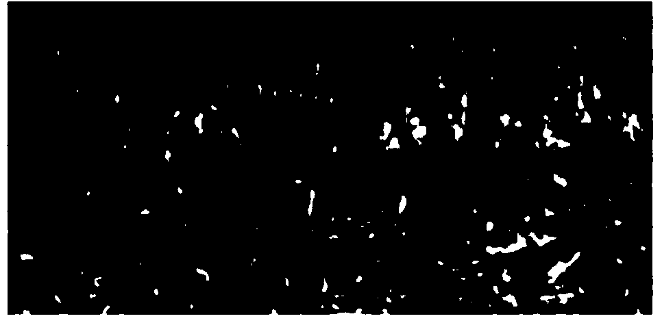 Hard hydrolysis-resistant, low-pitting performance and strong-peel strength polyurethane resin and preparation method thereof