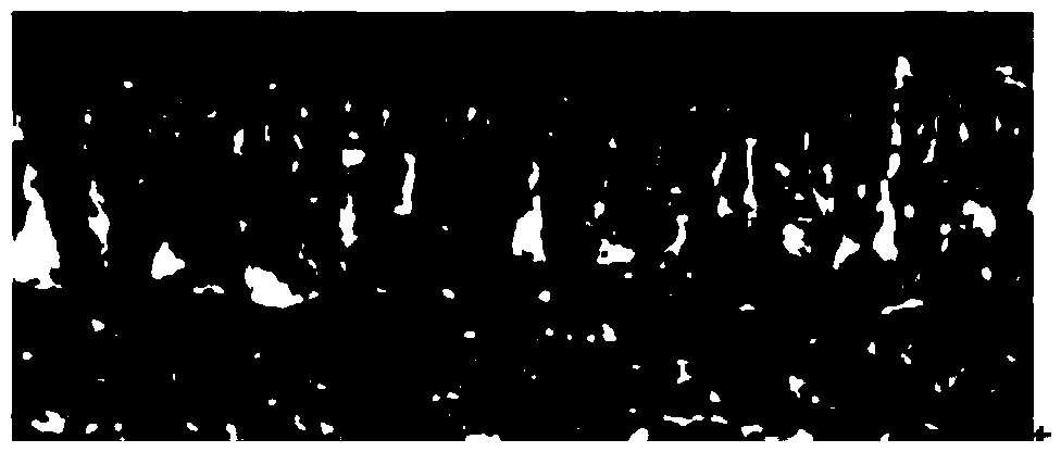 Hard hydrolysis-resistant, low-pitting performance and strong-peel strength polyurethane resin and preparation method thereof