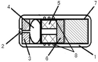 Drug delivery capsule and drug delivery method