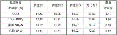 Water purifying agent with defect-rich carbon carriers and immobilized microorganisms and method for preparing water purifying agent