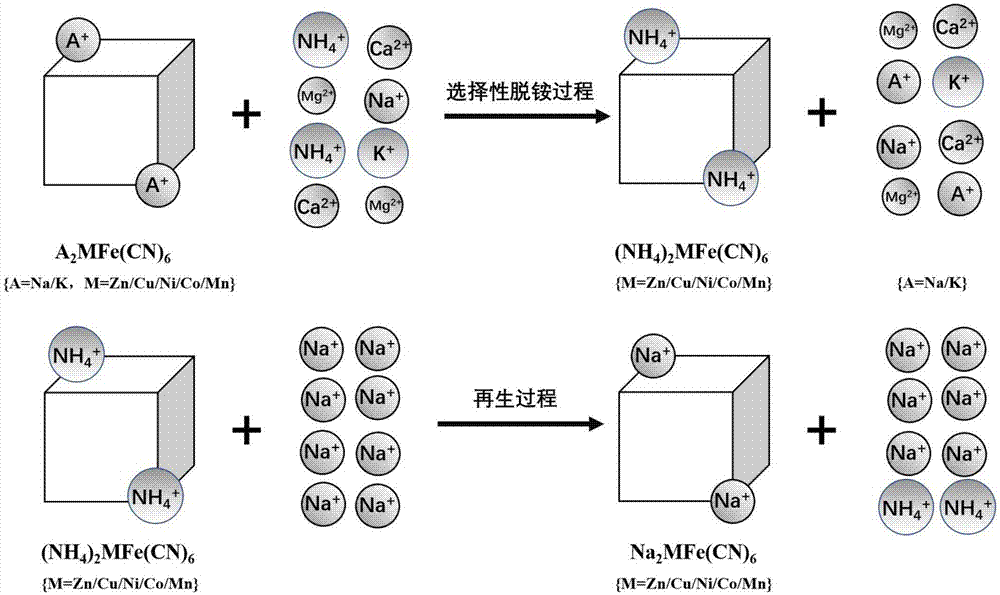 Preparation method of prussian-blue compound ammonium removal material, and application of prussian-blue compound ammonium removal material in removing ammonium from sewage