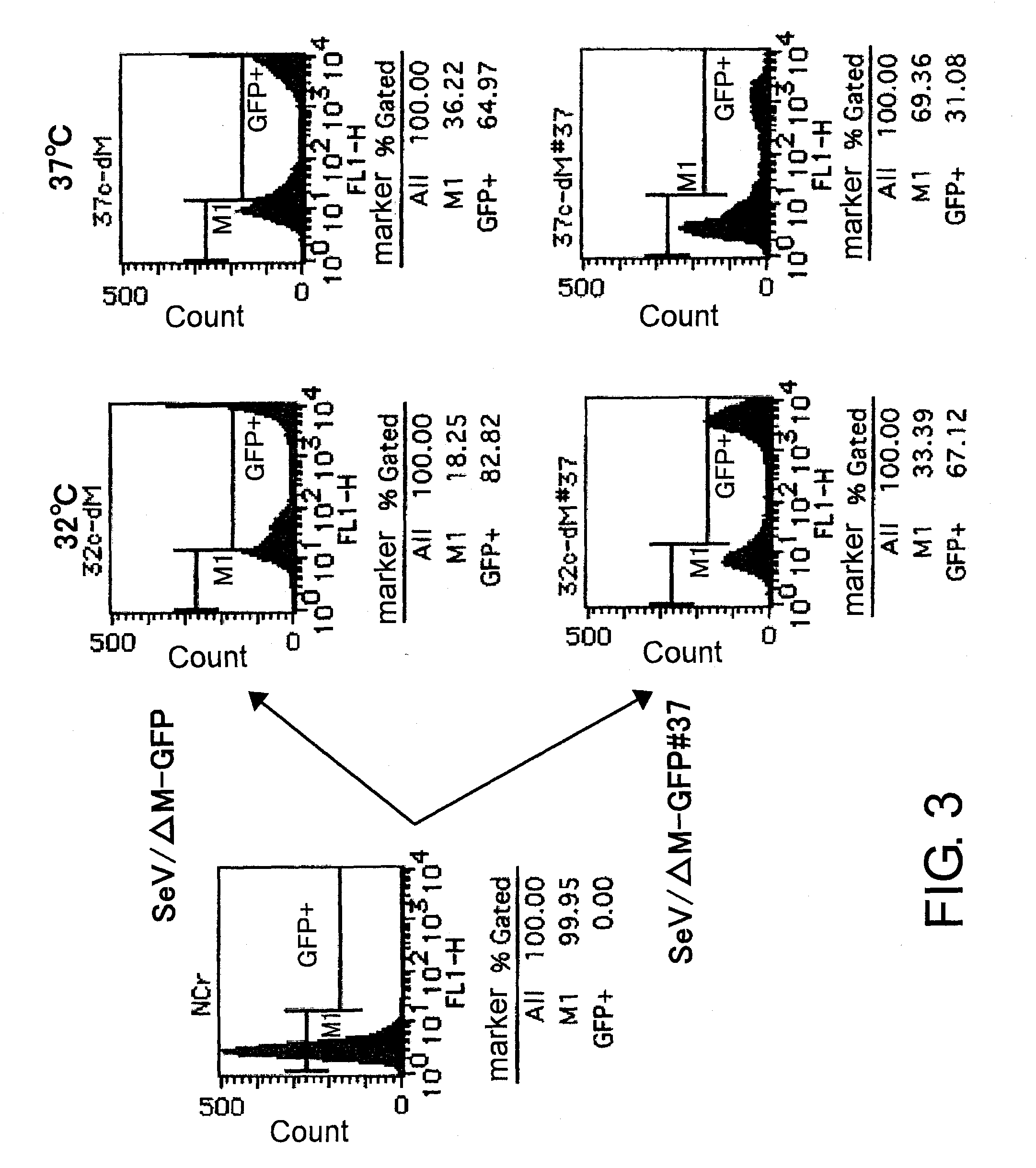 Attenuated minus-stranded RNA virus