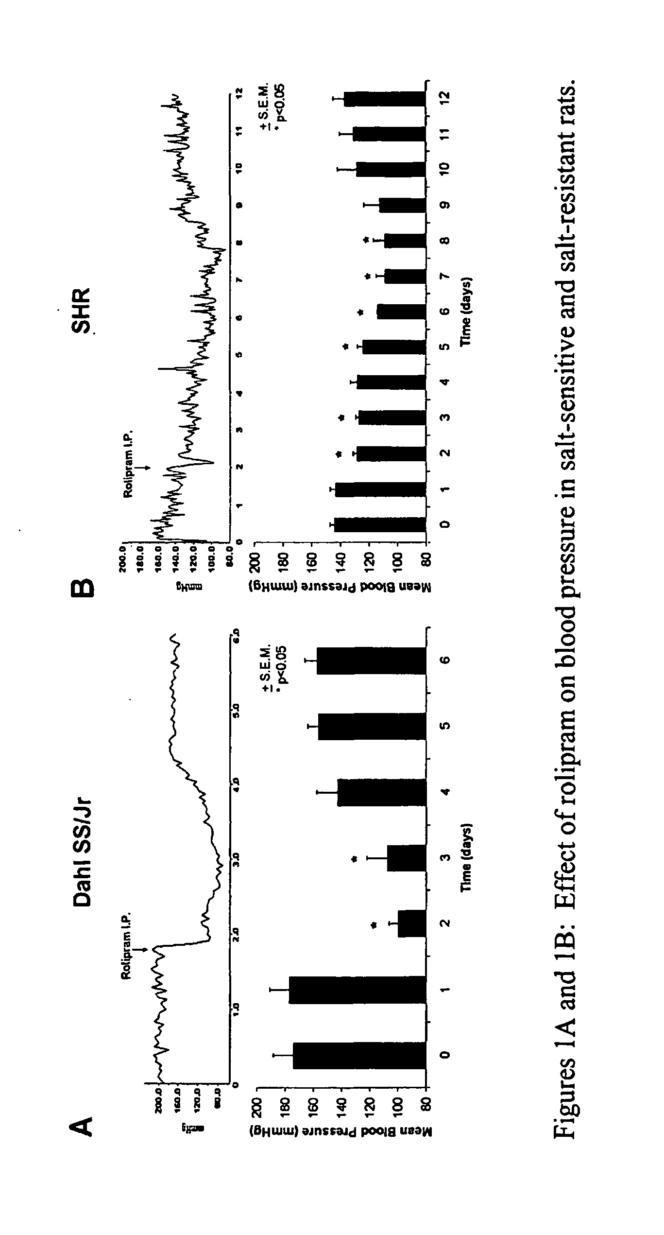 Blood Pressure Reduction in Salt-Sensitive Hypertension