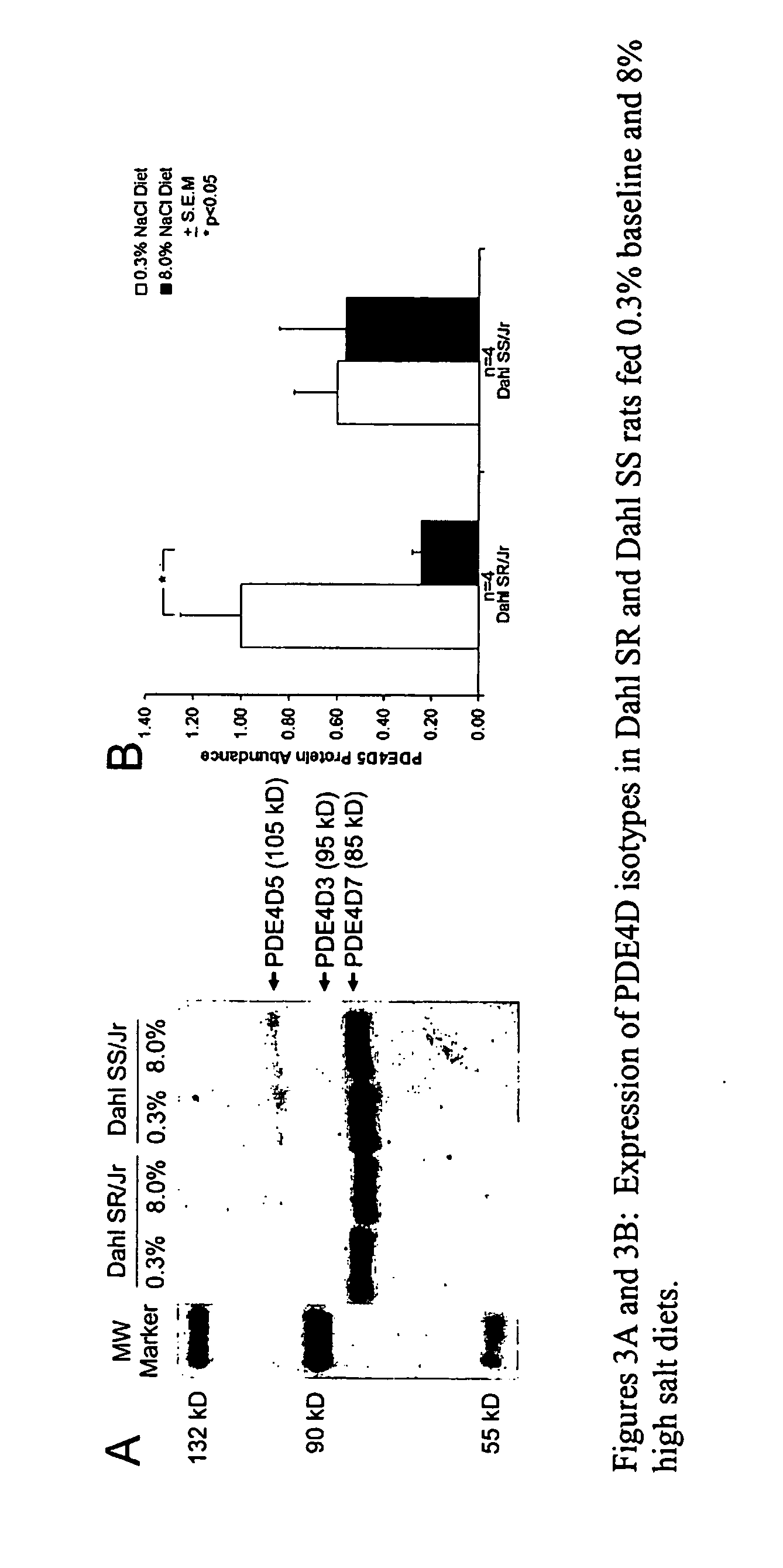 Blood Pressure Reduction in Salt-Sensitive Hypertension