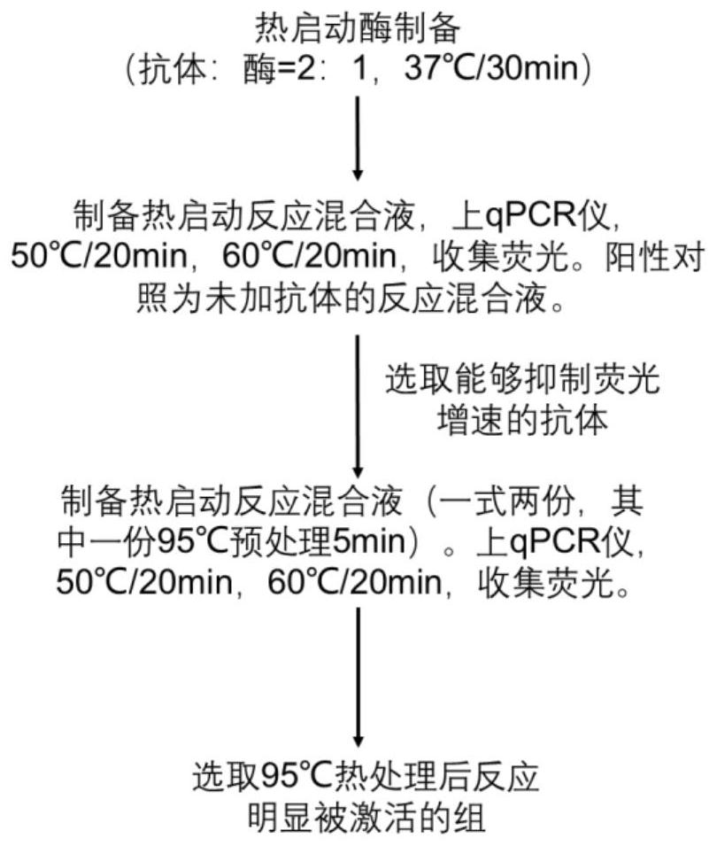 Monoclonal antibody specifically combined with Taq DNA polymerase and application thereof