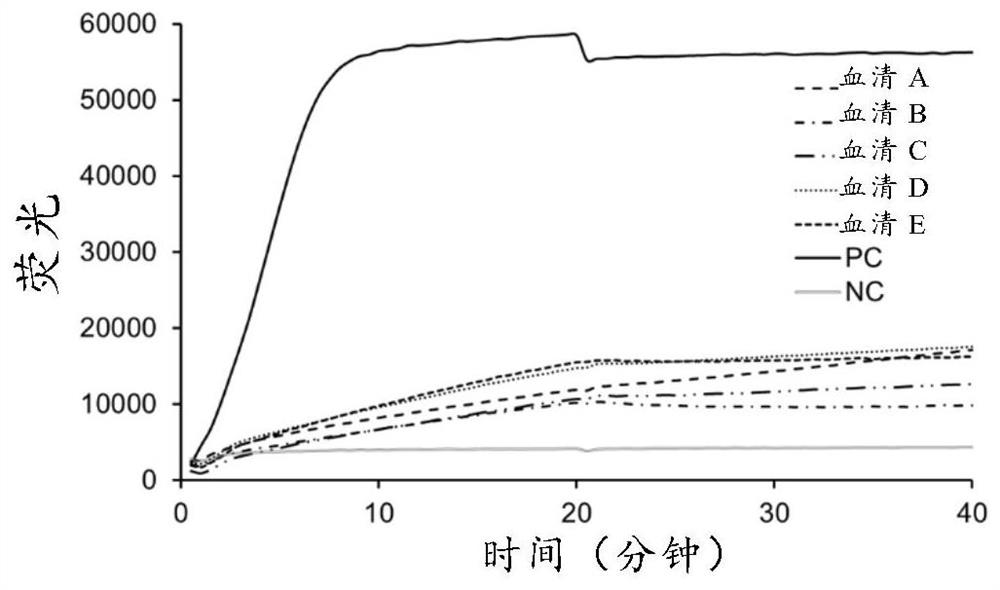 Monoclonal antibody specifically combined with Taq DNA polymerase and application thereof