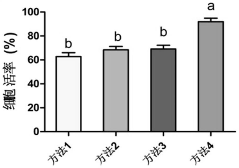 Isolation and culture method of primary hepatocytes of bream