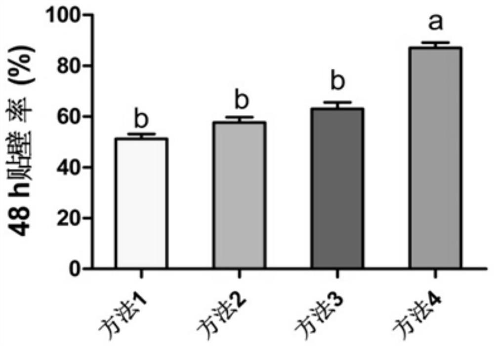 Isolation and culture method of primary hepatocytes of bream