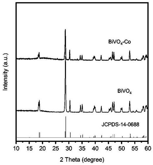 Transition metal oxide modified bismuth vanadate photocatalyst for efficiently degrading antibiotics in water