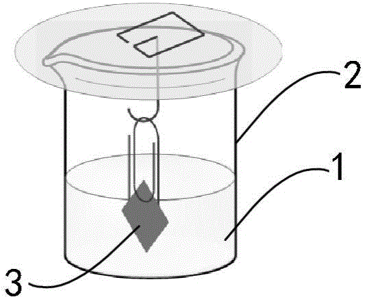 Preparation method of silver island material