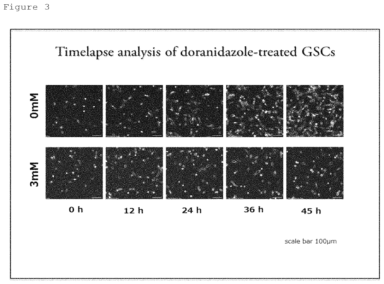 Cancer stem cell inhibitor