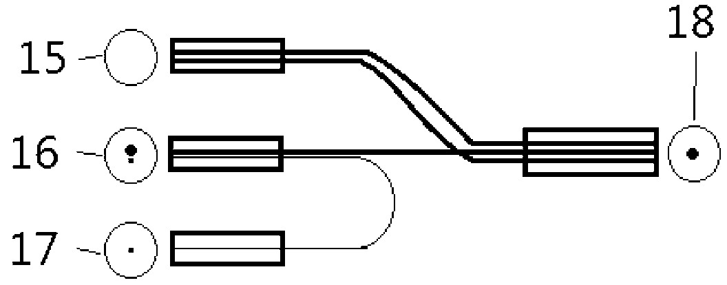 Dissolved oxygen online monitoring method and adopted sensor