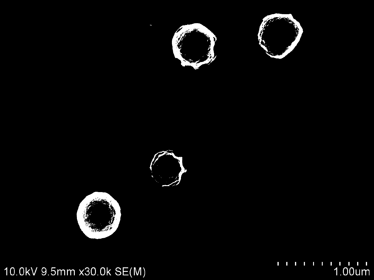 A kind of calcium phosphate bone cement embedding drug-loaded siliceous body and its preparation method and application