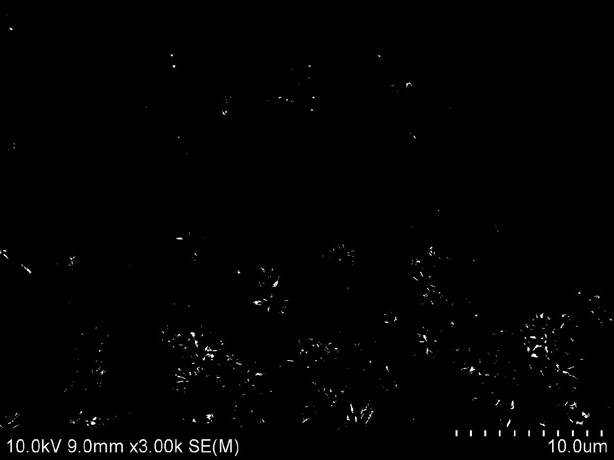 A kind of calcium phosphate bone cement embedding drug-loaded siliceous body and its preparation method and application