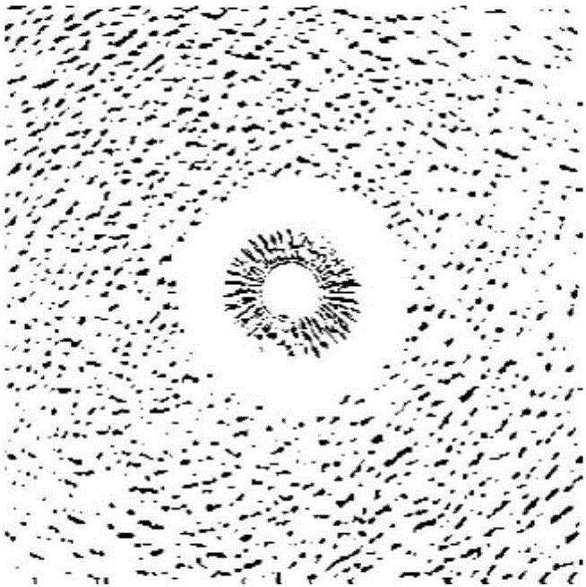 Method and apparatus for generating eye image