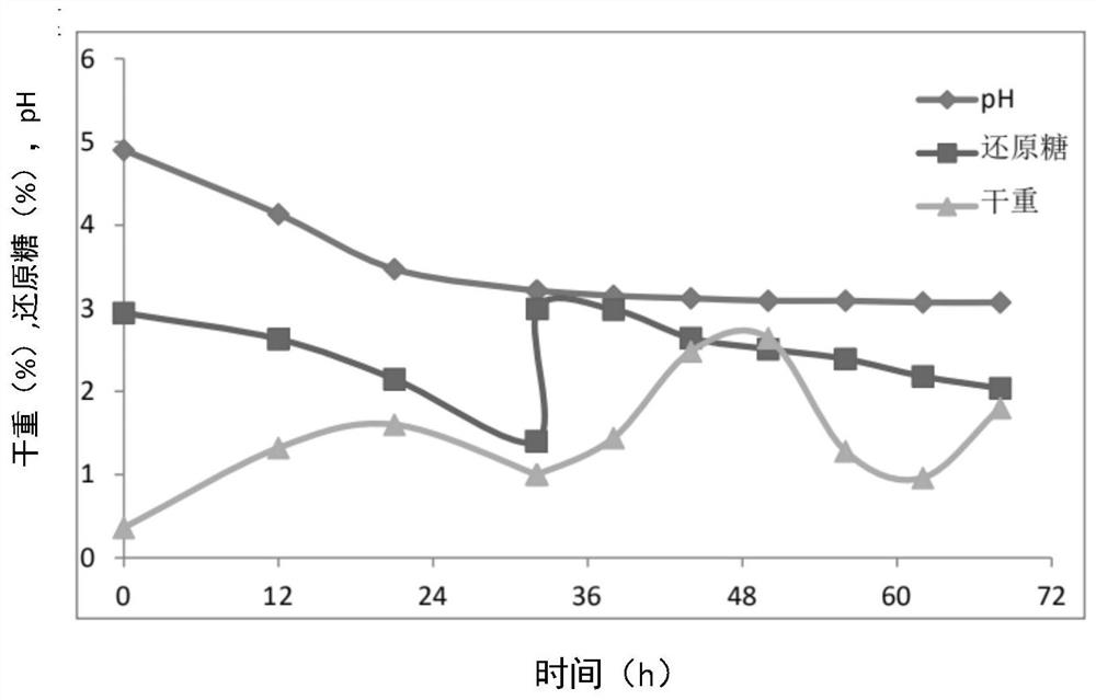 Method for supplementing materials in batches to ferment coriolus versicolor by utilizing airlift fermentation tank