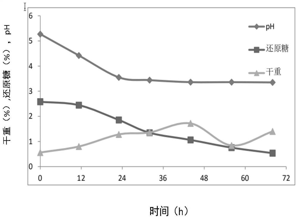 Method for supplementing materials in batches to ferment coriolus versicolor by utilizing airlift fermentation tank