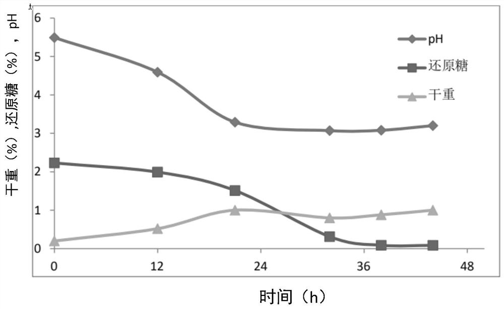 Method for supplementing materials in batches to ferment coriolus versicolor by utilizing airlift fermentation tank