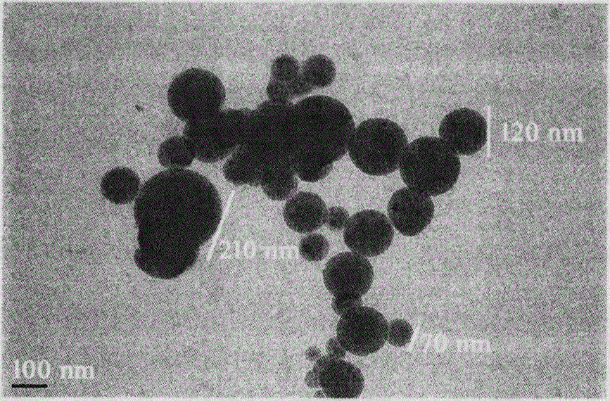 Trp-Trp-Trp pentapeptide modified beta-carboline, preparation therefor, nanostructure, activity and application thereof