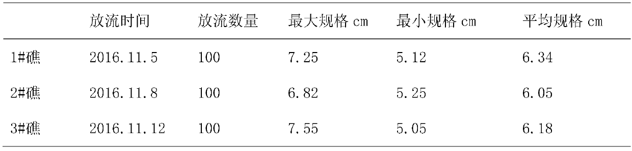 A method for improving the survival rate of artificially bred juvenile giant clam multiplication and release