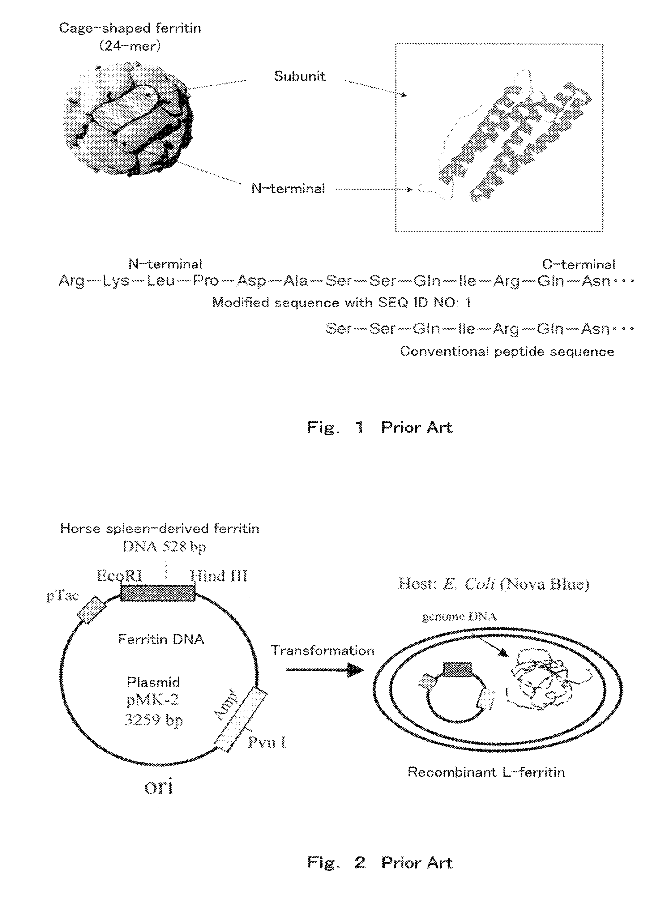 Method of arraying ferritin