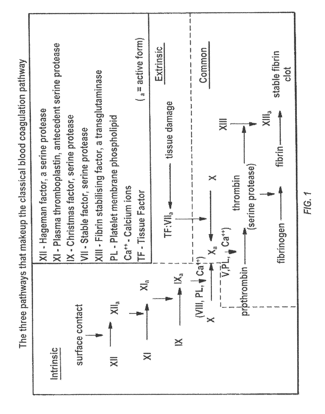 Microfluidic chip-based, universal coagulation assay