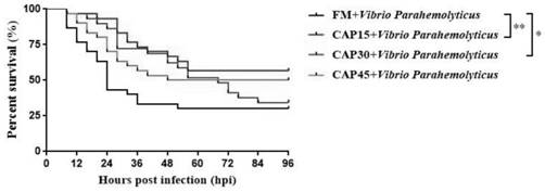 Application of clostridium autoethanogenum protein in promoting growth of litopenaeus vannamei and improving intestinal flora