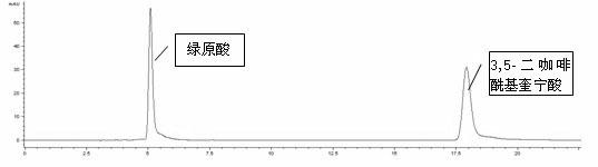 Ainsliaea fragrans champ caffeoylquinic acid extracts and preparation and application thereof