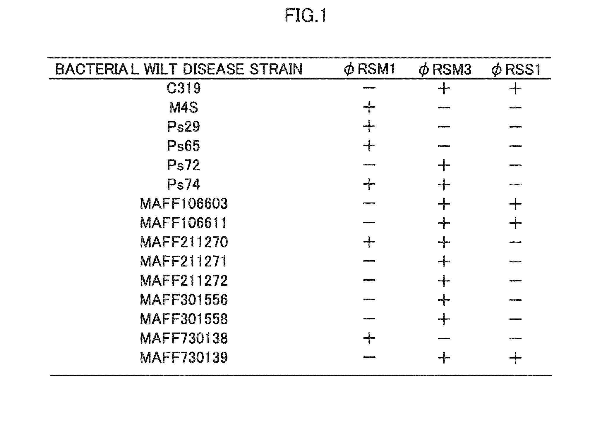 Agent for Preventing Bacterial Wilt Disease, and Method for Preventing Bacterial Wilt Disease