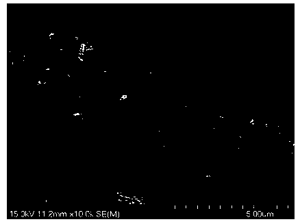 Synthesis of metal CO-supported N-doped three-dimensional porous carbon materials with excellent electrocatalytic oxygen reduction performance