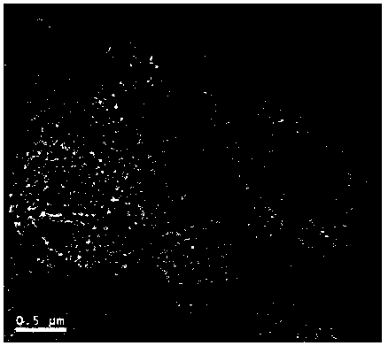 Synthesis of metal CO-supported N-doped three-dimensional porous carbon materials with excellent electrocatalytic oxygen reduction performance