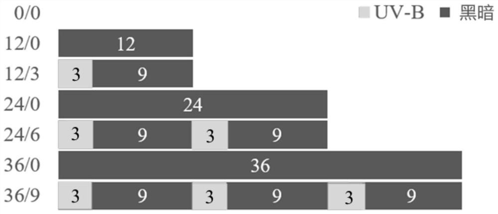 Method for improving edible quality of germinated wheat