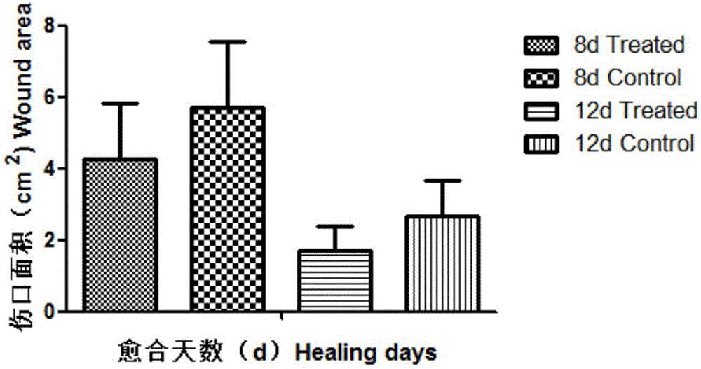 Dog mesenchymal stem cell injection and preparation method and application thereof