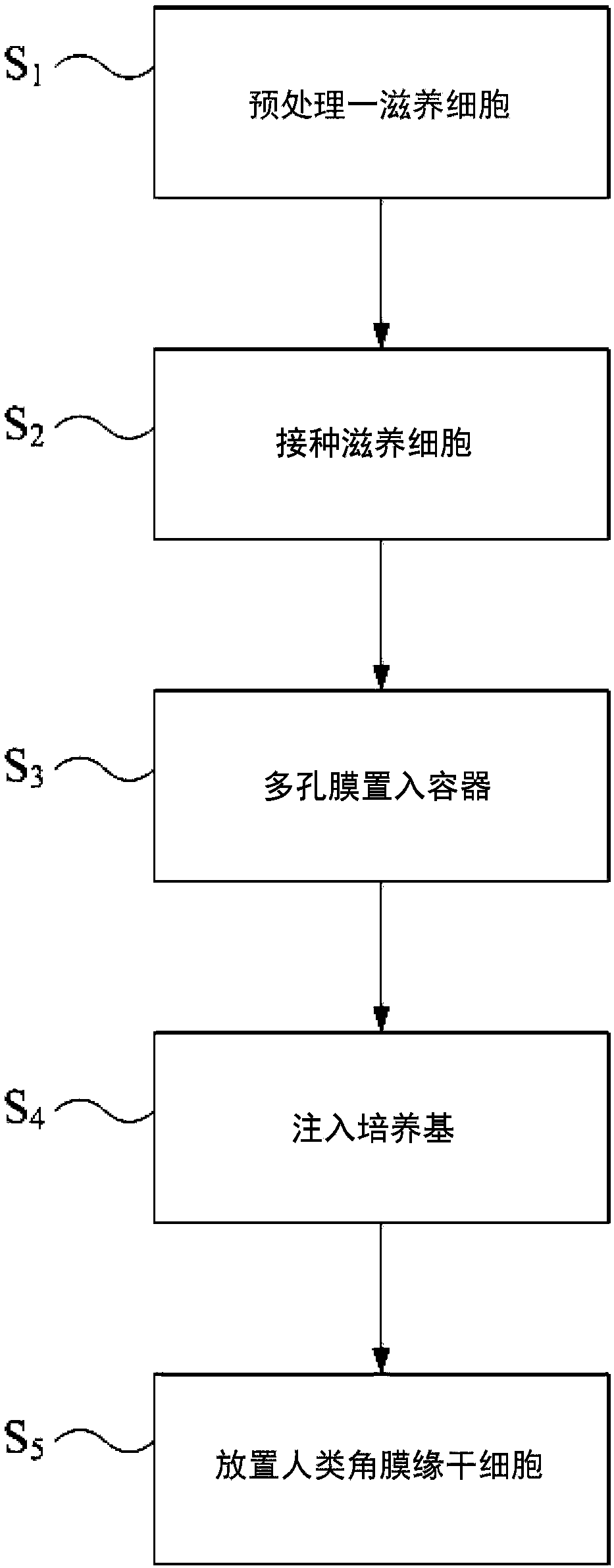 Method for culturing human limbal stem cells