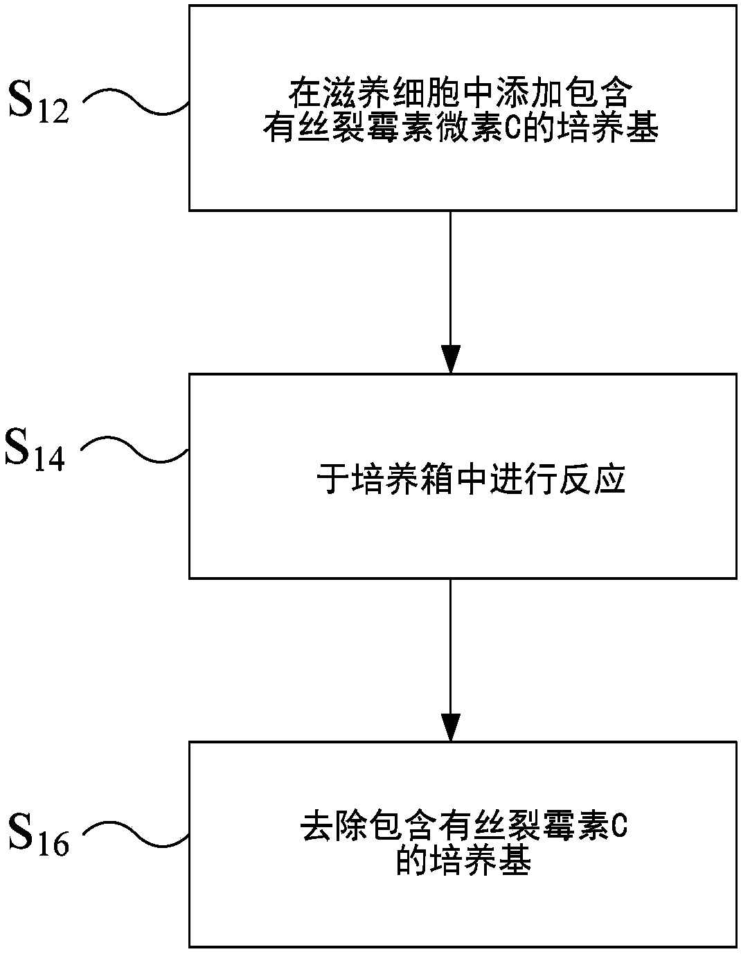 Method for culturing human limbal stem cells