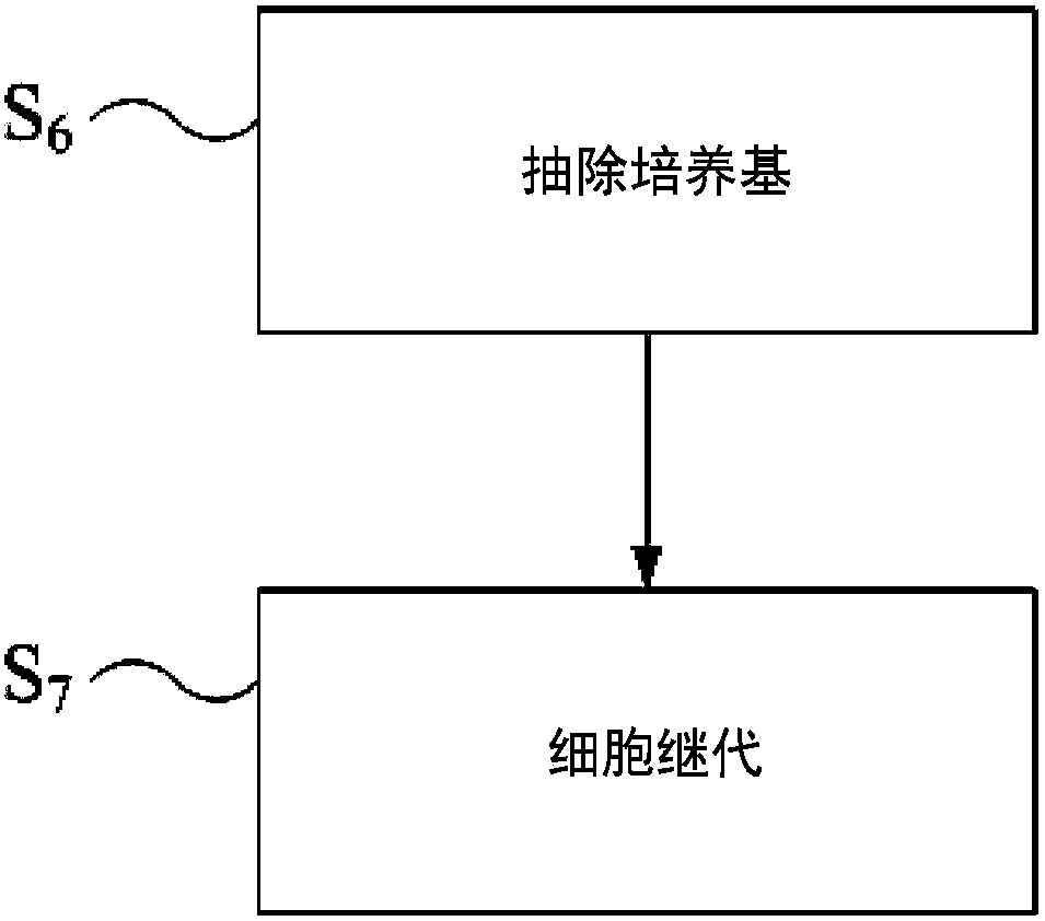 Method for culturing human limbal stem cells