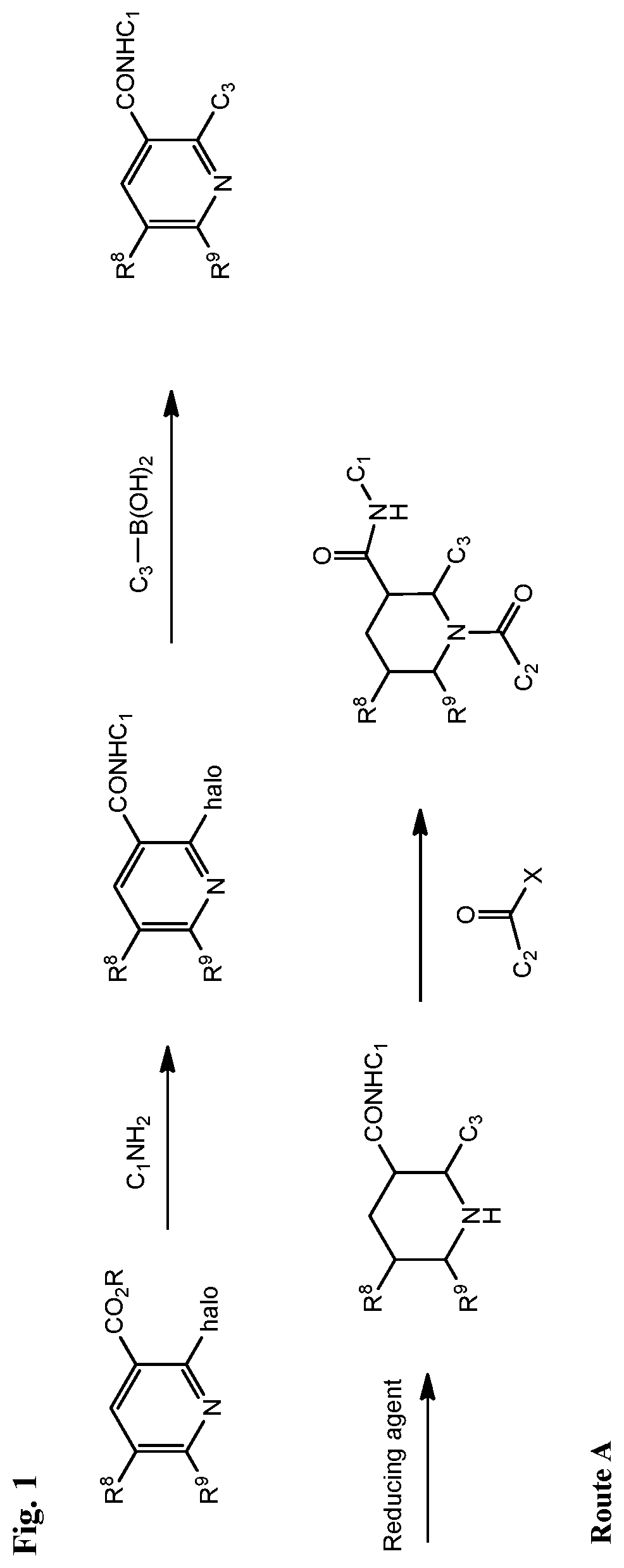 Fused piperidinyl bicyclic and related compounds as modulators of C5A receptor