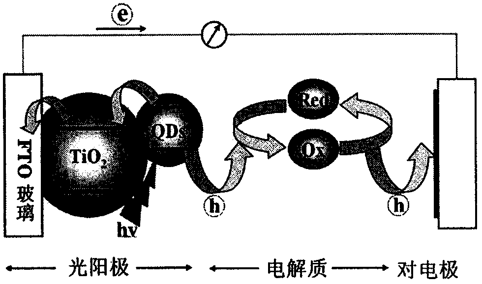 Method for preparing photoanode of co-sensitized quantum dot solar cell