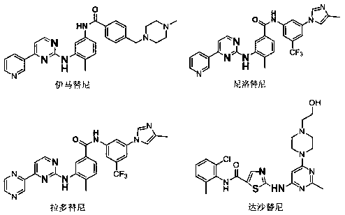 Thiazolyl aminobenzoic acid derivative and application thereof