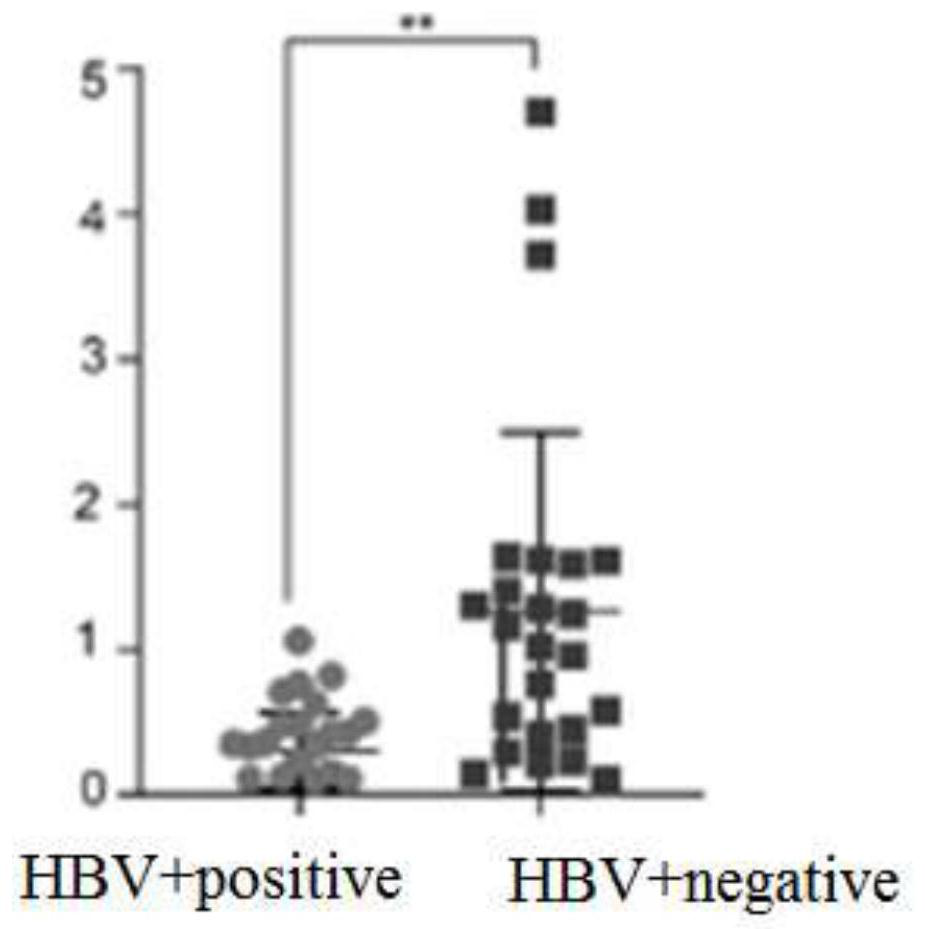 Use of polyphosphoinositide phosphatase 1 as a target molecule