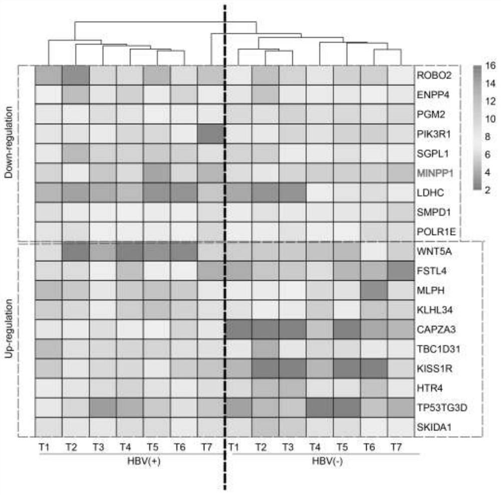 Use of polyphosphoinositide phosphatase 1 as a target molecule