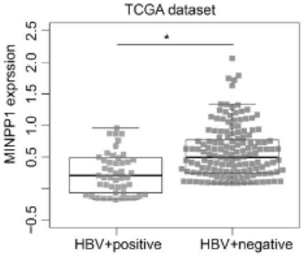 Use of polyphosphoinositide phosphatase 1 as a target molecule