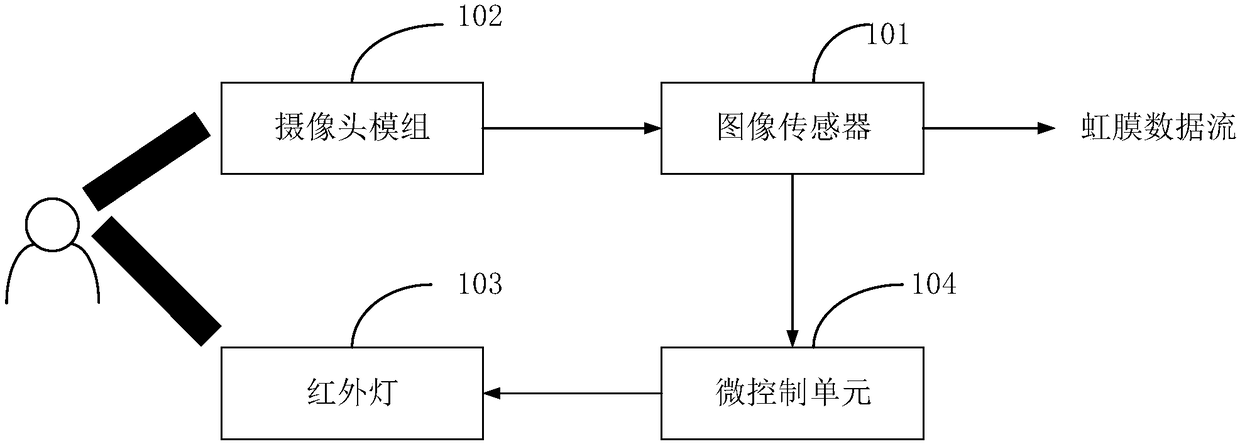 Iris collecting device and method for controlling turn-on time of infrared lamp