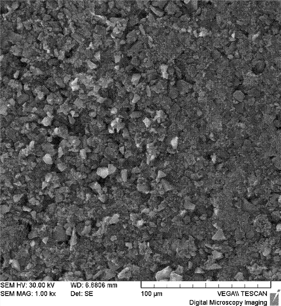 Preparation method and applications of electrode plate