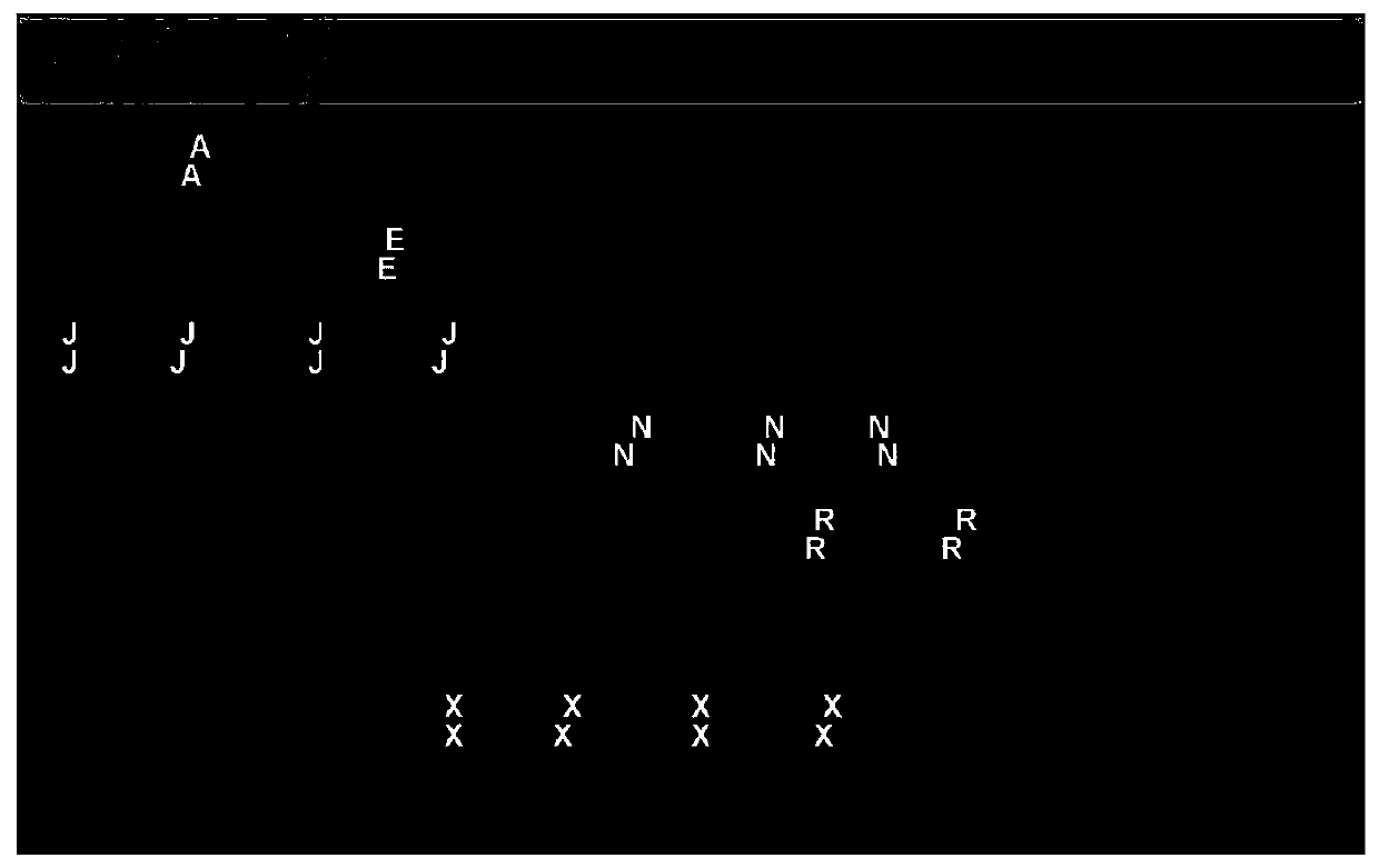 Efficient brain-controlled Chinese input method based on motor visual evoked potential