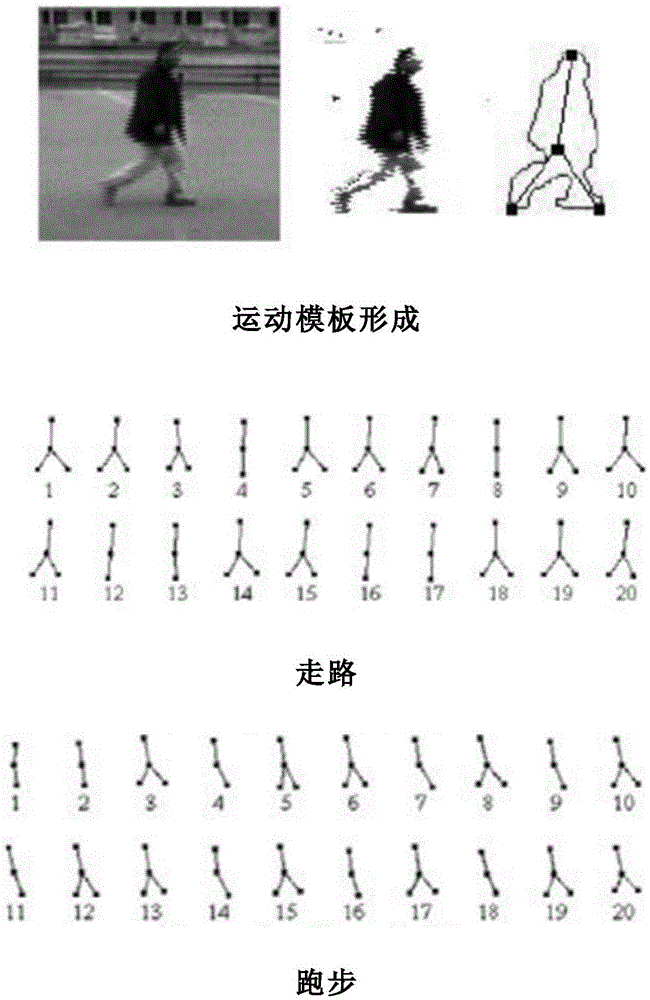 People flow video detection and analysis system