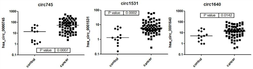 A kind of circRNA marker and application thereof for diagnosis of breast cancer