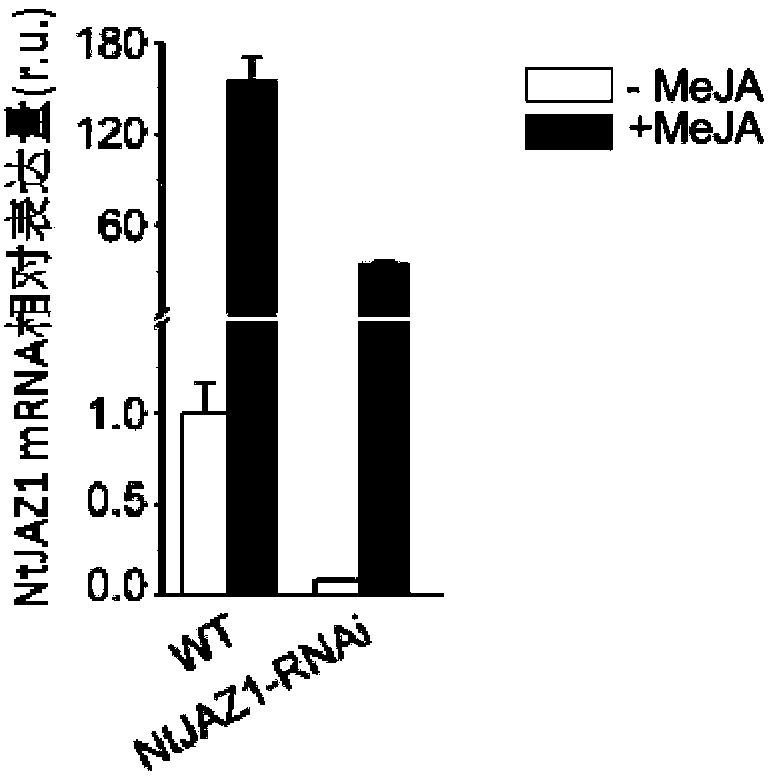 Gene capable of reducing nicotine content of tobacco and application thereof